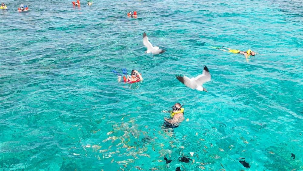 The Marlin At Taino Beach Resort Freeport Ngoại thất bức ảnh